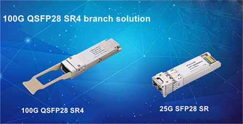 What Is the 100G QSFP28 SR4 Branch Solution and How Does It Offer Cost and Networking Flexibility