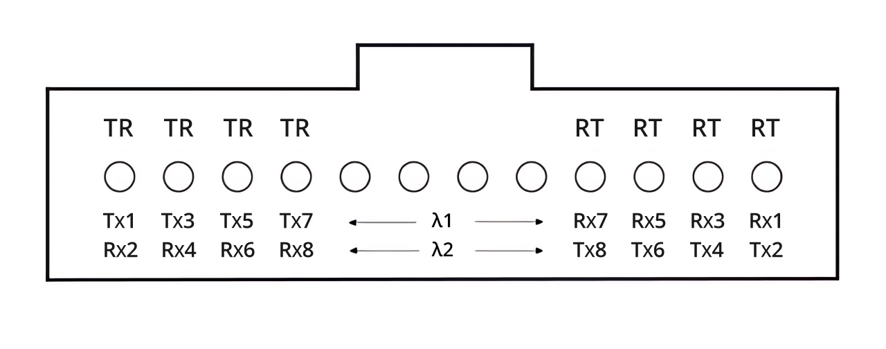 400GBASE-SR4.2 fiber interface